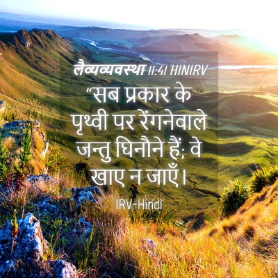 Picture 04 - लैव्यव्यवस्था 11:41 HINIRV - “सब प्रकार के - Bible Verse Picture
