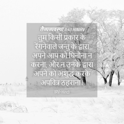 Picture 04 - लैव्यव्यवस्था 11:43 HINIRV - तुम किसी प्रकार के - Bible Verse Picture