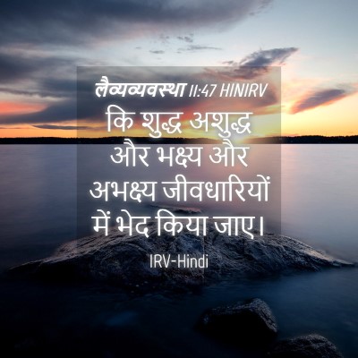 Picture 04 - लैव्यव्यवस्था 11:47 HINIRV - कि शुद्ध अशुद्ध और - Bible Verse Picture