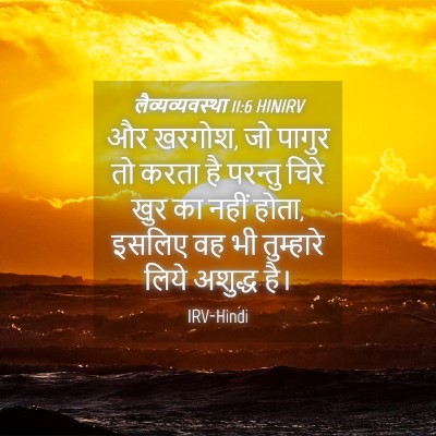 Picture 04 - लैव्यव्यवस्था 11:6 HINIRV - और खरगोश, जो पागुर - Bible Verse Picture