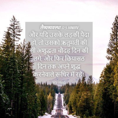 Picture 04 - लैव्यव्यवस्था 12:5 HINIRV - और यदि उसके लड़की - Bible Verse Picture