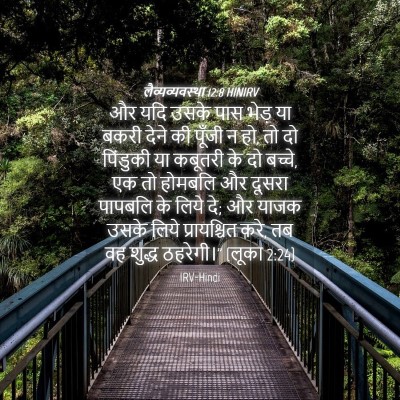 Picture 04 - लैव्यव्यवस्था 12:8 HINIRV - और यदि उसके पास - Bible Verse Picture