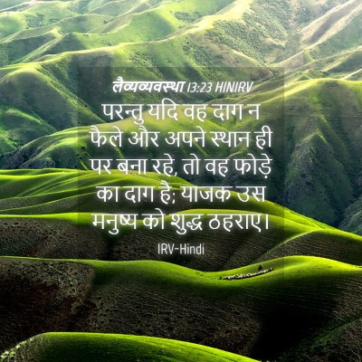 Picture 04 - लैव्यव्यवस्था 13:23 HINIRV - परन्तु यदि वह दाग न - Bible Verse Picture
