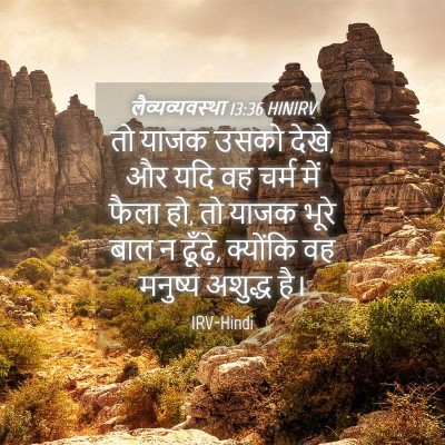 Picture 04 - लैव्यव्यवस्था 13:36 HINIRV - तो याजक उसको देखे, - Bible Verse Picture