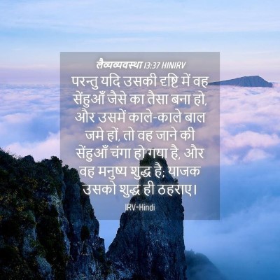 Picture 04 - लैव्यव्यवस्था 13:37 HINIRV - परन्तु यदि उसकी - Bible Verse Picture