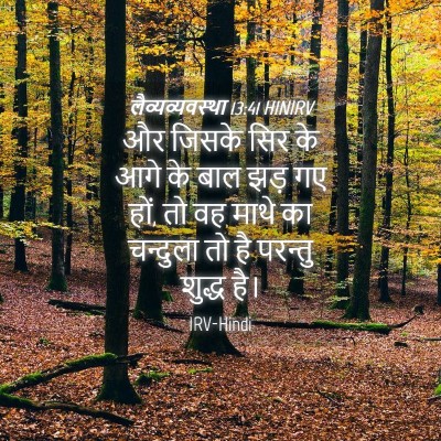 Picture 04 - लैव्यव्यवस्था 13:41 HINIRV - और जिसके सिर के आगे - Bible Verse Picture