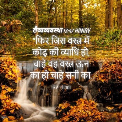 Picture 04 - लैव्यव्यवस्था 13:47 HINIRV - “फिर जिस वस्त्र - Bible Verse Picture