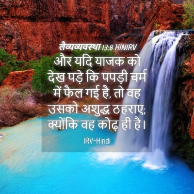 Picture 04 - लैव्यव्यवस्था 13:8 HINIRV - और यदि याजक को देख - Bible Verse Picture