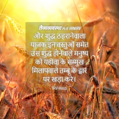 Picture 04 - लैव्यव्यवस्था 14:11 HINIRV - और शुद्ध - Bible Verse Picture