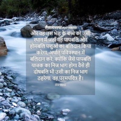 Picture 04 - लैव्यव्यवस्था 14:13 HINIRV - और वह उस भेड़ के - Bible Verse Picture
