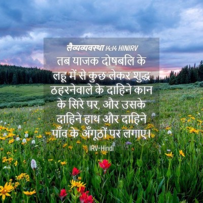 Picture 04 - लैव्यव्यवस्था 14:14 HINIRV - तब याजक दोषबलि के - Bible Verse Picture
