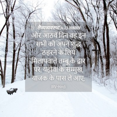 Picture 04 - लैव्यव्यवस्था 14:23 HINIRV - और आठवें दिन वह इन - Bible Verse Picture