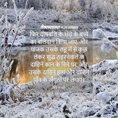 Picture 04 - लैव्यव्यवस्था 14:25 HINIRV - फिर दोषबलि के भेड़ - Bible Verse Picture