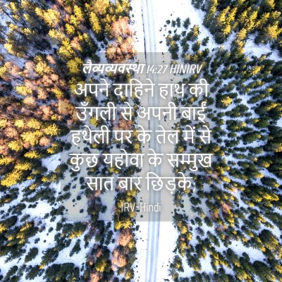 Picture 04 - लैव्यव्यवस्था 14:27 HINIRV - अपने दाहिने हाथ की - Bible Verse Picture
