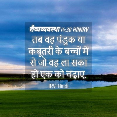 Picture 04 - लैव्यव्यवस्था 14:30 HINIRV - तब वह पंडुक या - Bible Verse Picture