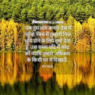 Picture 04 - लैव्यव्यवस्था 14:34 HINIRV - “जब तुम लोग कनान - Bible Verse Picture