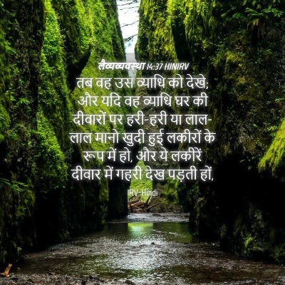 Picture 04 - लैव्यव्यवस्था 14:37 HINIRV - तब वह उस व्याधि को - Bible Verse Picture