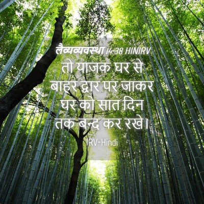 Picture 04 - लैव्यव्यवस्था 14:38 HINIRV - तो याजक घर से बाहर - Bible Verse Picture