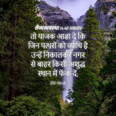 Picture 04 - लैव्यव्यवस्था 14:40 HINIRV - तो याजक आज्ञा दे कि - Bible Verse Picture