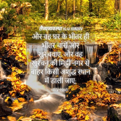 Picture 04 - लैव्यव्यवस्था 14:41 HINIRV - और वह घर के भीतर ही - Bible Verse Picture