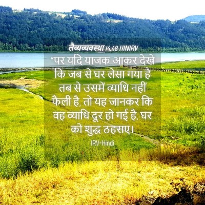 Picture 04 - लैव्यव्यवस्था 14:48 HINIRV - “पर यदि याजक आकर - Bible Verse Picture