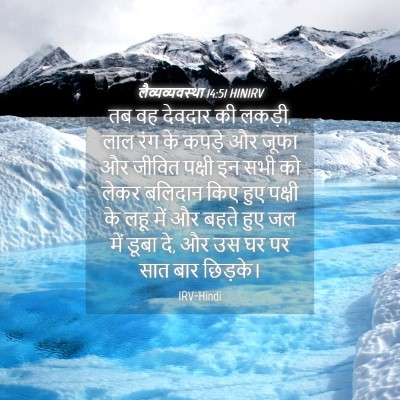 Picture 04 - लैव्यव्यवस्था 14:51 HINIRV - तब वह देवदार की - Bible Verse Picture