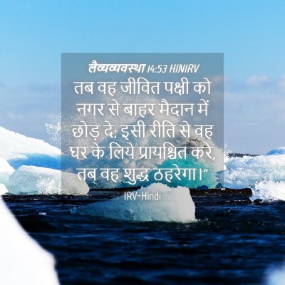 Picture 04 - लैव्यव्यवस्था 14:53 HINIRV - तब वह जीवित पक्षी - Bible Verse Picture