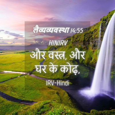 Picture 04 - लैव्यव्यवस्था 14:55 HINIRV - और वस्त्र, और घर के - Bible Verse Picture