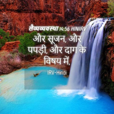 Picture 04 - लैव्यव्यवस्था 14:56 HINIRV - और सूजन, और पपड़ी, - Bible Verse Picture
