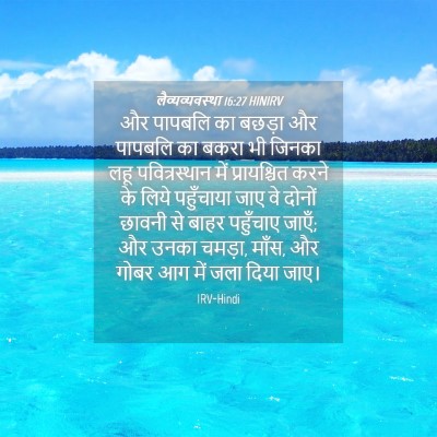 Picture 04 - लैव्यव्यवस्था 16:27 HINIRV - और पापबलि का बछड़ा - Bible Verse Picture
