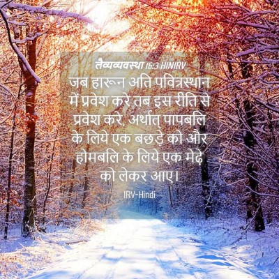 Picture 04 - लैव्यव्यवस्था 16:3 HINIRV - जब हारून अति - Bible Verse Picture