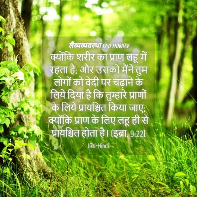 Picture 04 - लैव्यव्यवस्था 17:11 HINIRV - क्योंकि शरीर का - Bible Verse Picture