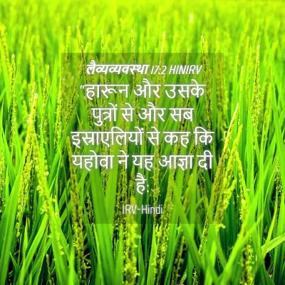 Picture 04 - लैव्यव्यवस्था 17:2 HINIRV - “हारून और उसके - Bible Verse Picture