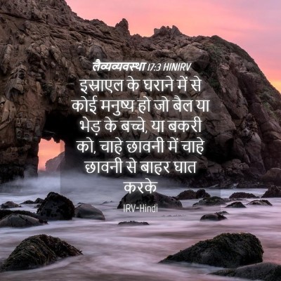 Picture 04 - लैव्यव्यवस्था 17:3 HINIRV - इस्राएल के घराने - Bible Verse Picture