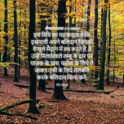 Picture 04 - लैव्यव्यवस्था 17:5 HINIRV - इस विधि का यह कारण - Bible Verse Picture
