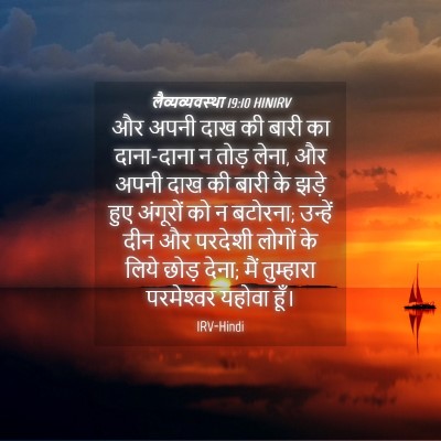 Picture 04 - लैव्यव्यवस्था 19:10 HINIRV - और अपनी दाख की बारी - Bible Verse Picture