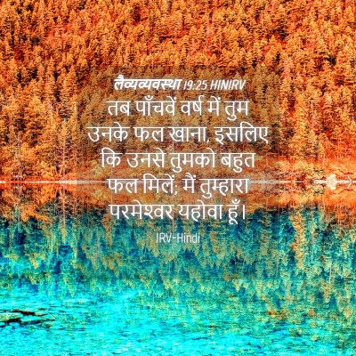 Picture 04 - लैव्यव्यवस्था 19:25 HINIRV - तब पाँचवें वर्ष - Bible Verse Picture