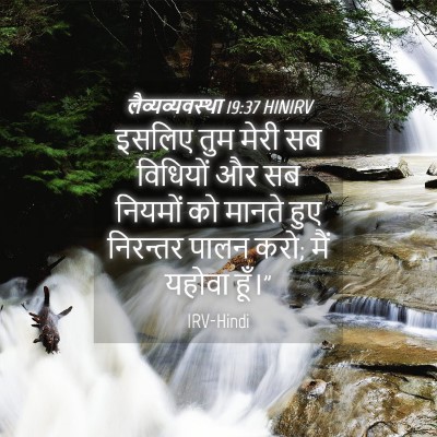 Picture 04 - लैव्यव्यवस्था 19:37 HINIRV - इसलिए तुम मेरी सब - Bible Verse Picture