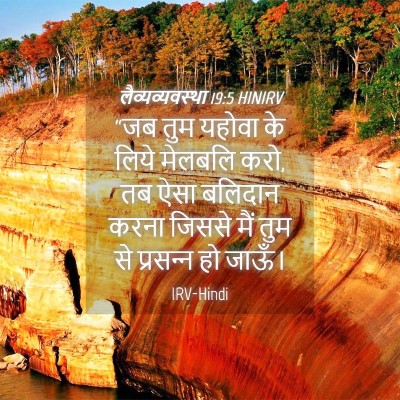 Picture 04 - लैव्यव्यवस्था 19:5 HINIRV - “जब तुम यहोवा के - Bible Verse Picture