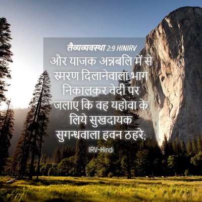 Picture 04 - लैव्यव्यवस्था 2:9 HINIRV - और याजक अन्नबलि - Bible Verse Picture