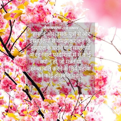 Picture 04 - लैव्यव्यवस्था 22:18 HINIRV - “हारून और उसके - Bible Verse Picture