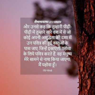 Picture 04 - लैव्यव्यवस्था 22:3 HINIRV - और उनसे कह कि - Bible Verse Picture