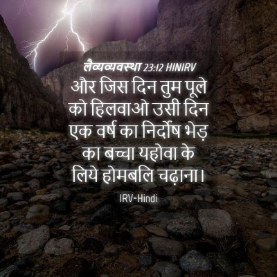 Picture 04 - लैव्यव्यवस्था 23:12 HINIRV - और जिस दिन तुम पूले - Bible Verse Picture