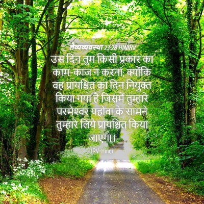 Picture 04 - लैव्यव्यवस्था 23:28 HINIRV - उस दिन तुम किसी - Bible Verse Picture