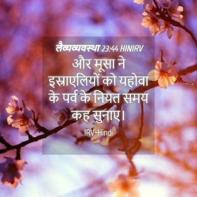 Picture 04 - लैव्यव्यवस्था 23:44 HINIRV - और मूसा ने - Bible Verse Picture