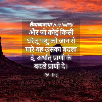 Picture 04 - लैव्यव्यवस्था 24:18 HINIRV - और जो कोई किसी - Bible Verse Picture