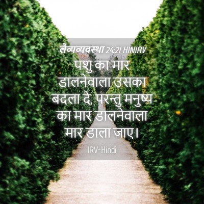 Picture 04 - लैव्यव्यवस्था 24:21 HINIRV - पशु का मार - Bible Verse Picture