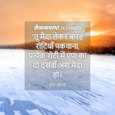 Picture 04 - लैव्यव्यवस्था 24:5 HINIRV - “तू मैदा लेकर बारह - Bible Verse Picture