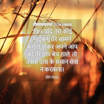 Picture 04 - लैव्यव्यवस्था 25:39 HINIRV - “फिर यदि तेरा कोई - Bible Verse Picture