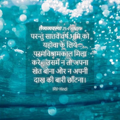 Picture 04 - लैव्यव्यवस्था 25:4 HINIRV - परन्तु सातवें - Bible Verse Picture